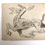 Charging Donkey, Early 20th Century Hand-drawn Pen and Ink Postcard