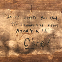 “Dead Insects for Study, No Commercial Value, Handle with Care” Box