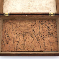 “Dead Insects for Study, No Commercial Value, Handle with Care” Box