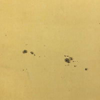 Sun Spots, from Austrian Journal of Popular Astronomy, 1876 Color Lithograph