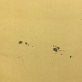 Sun Spots, from Austrian Journal of Popular Astronomy, 1876 Color Lithograph