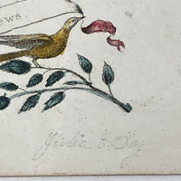 19th C. Bird with "Good News" Banner, Hand-colored Etching Compliments Card