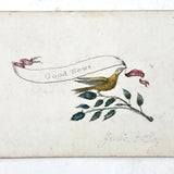 19th C. Bird with "Good News" Banner, Hand-colored Etching Compliments Card