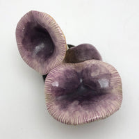 Lorenzen Lantz, Nova Scotia Purple and Yellow Mushroom Sculpture