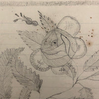Laura's Rose, 19th C. Naive Graphite Drawing on Lined Paper