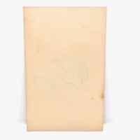 Finely Done Antique Flower Specimen Watercolor: Violets