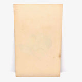 Finely Done Antique Flower Specimen Watercolor: Violets