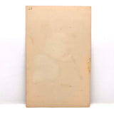 Finely Done Antique Flower Specimen Watercolor: Tulip Tree Blossom