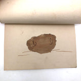 Carol's Book of Watercolor Vegetables (and a Watermelon)!