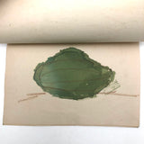 Carol's Book of Watercolor Vegetables (and a Watermelon)!