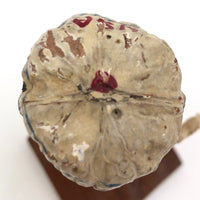 Mid-Land Novelty Co 1930s Walnuts Sailor