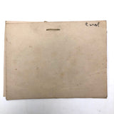 Carol's Book of Watercolor Vegetables (and a Watermelon)!