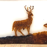 Wonderful 19th C. Hand-painted Glass Magic Lantern Slide with Animals