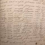 Jacob A. Paul's 1838 Ghent, NY Penmanship Practice Book