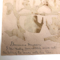 Mid 19th c. Cut Paper Birds and Elephants by J. McNally with Scissors in Toes at Barnum's Museum