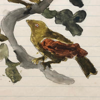 Naive 19th C Pennsylvania Watercolor Drawing of Boy with Sickle and Birds