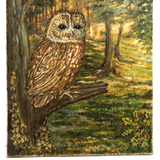 Perched Owl in Forest, Vintage Naive Oil on Canvas Painting