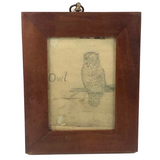 Antique Pencil Drawing of Perched Owl