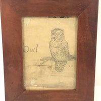 Antique Pencil Drawing of Perched Owl