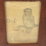 Antique Pencil Drawing of Perched Owl
