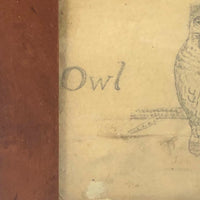 Antique Pencil Drawing of Perched Owl