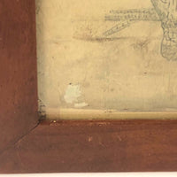 Antique Pencil Drawing of Perched Owl
