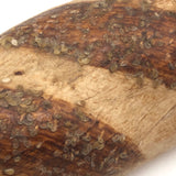 Papier Mache Baguette with Sesame Seeds