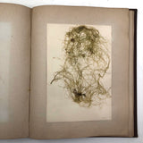 Gorgeous Victorian Collected Seaweed Album, Completely Full (33 Pages/55 Specimens)