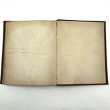 Gorgeous Victorian Collected Seaweed Album, Completely Full (33 Pages/55 Specimens)