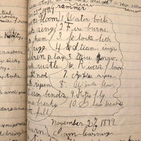Helen Dayton's 1899 Notebook with School Work, Paper Dolls, Color Drawings, etc.