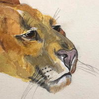 Puma! Vintage British Watercolor After Arthur Wardle (1860-1949)