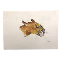 Puma! Vintage British Watercolor After Arthur Wardle (1860-1949)
