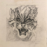 Ferocious Feline Graphite Drawing