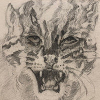 Ferocious Feline Graphite Drawing