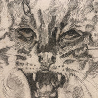 Ferocious Feline Graphite Drawing