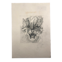 Ferocious Feline Graphite Drawing