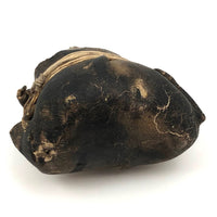 Gorgeous Old Wrapped Iron Shoulder