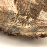 Folk Art Pyrographed Owl on Fungus Conk