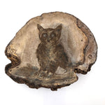 Folk Art Pyrographed Owl on Fungus Conk
