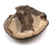 Folk Art Pyrographed Owl on Fungus Conk