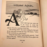 Fifth Ediion "The Wizard of Oz" by L. Frank Baum 1903 Copyright