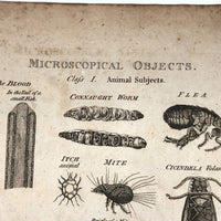 C. 1800 Oversized Engraving on Laid: Microscopical Objects