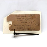 Antique Shaker Nail Found by David Malcolm at Shaker Lebanon Village