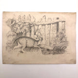 F. Barber 19th Century British Pencil Drawing "Deer in the Underbrush"