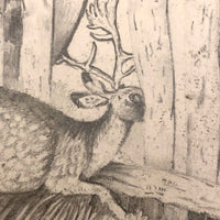 F. Barber 19th Century British Pencil Drawing "Deer in the Underbrush"