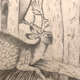 F. Barber 19th Century British Pencil Drawing "Deer in the Underbrush"