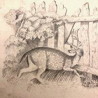 F. Barber 19th Century British Pencil Drawing "Deer in the Underbrush"