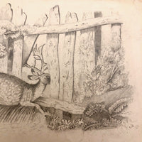 F. Barber 19th Century British Pencil Drawing "Deer in the Underbrush"
