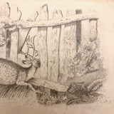 F. Barber 19th Century British Pencil Drawing "Deer in the Underbrush"