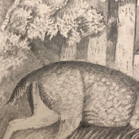 F. Barber 19th Century British Pencil Drawing "Deer in the Underbrush"